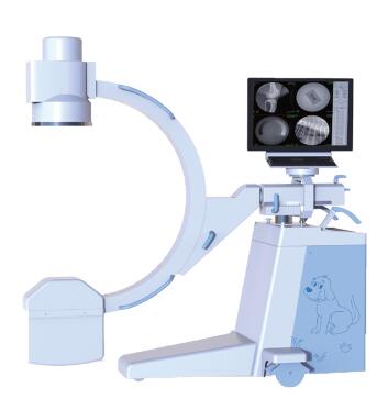 寵物dr怎么挑選？看哪幾大要素