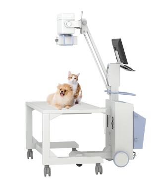 如何選擇寵物dr？你們主要看哪幾點