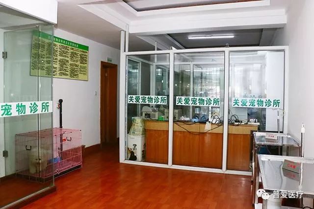 以仁醫(yī)之心關愛寵物健康 以仁醫(yī)之心關愛寵物健康