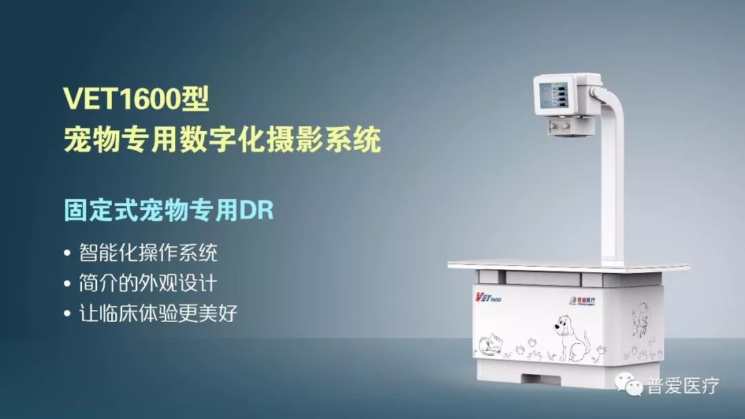 以仁醫(yī)之心關愛寵物健康