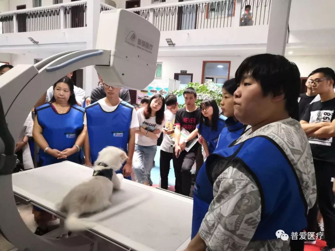 以仁醫(yī)之心關愛寵物健康